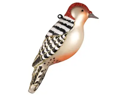 COBANE STUDIO - Red Bellied Woodpecker Glass Ornament (COBANEC391)