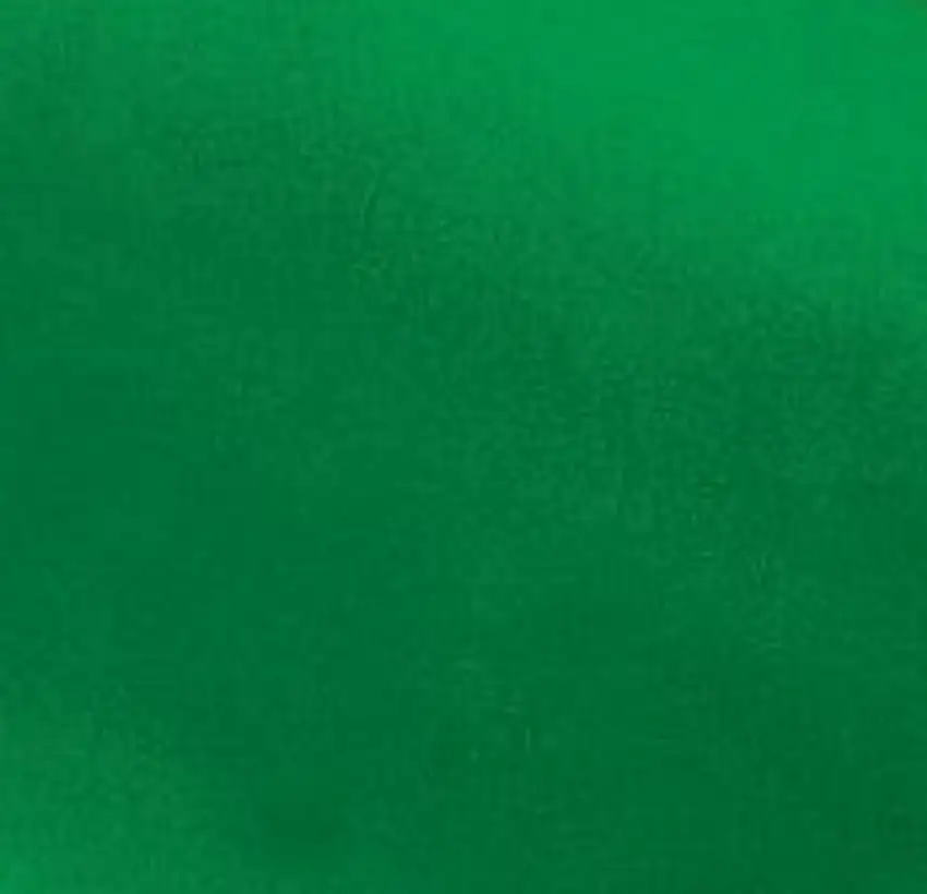 Green Transparent Plastic Sheets (2) Evergreen