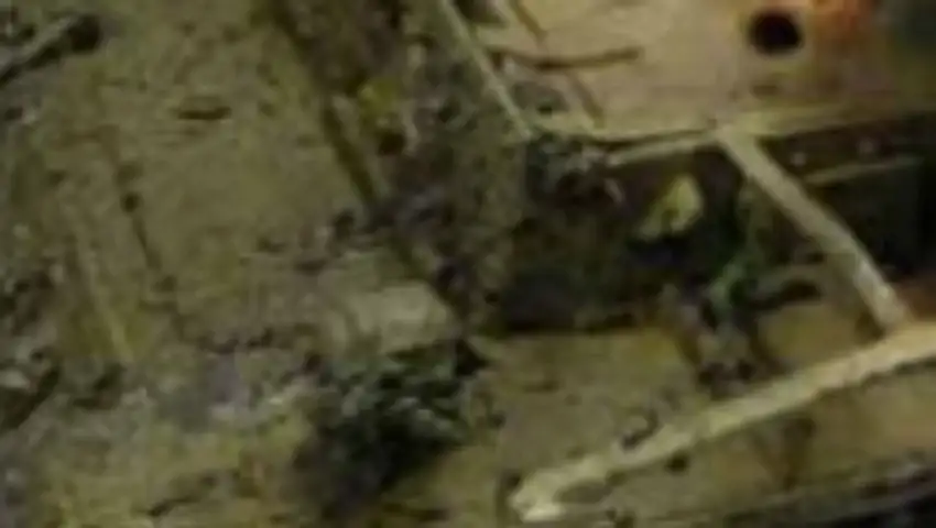 Black Thick Mud Weathering Effect 200ml Bottle Vallejo Paint